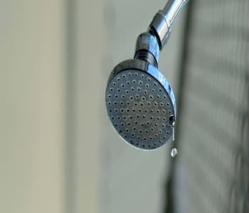 Featured image for article: Troubleshooting Your Leaking Shower Head